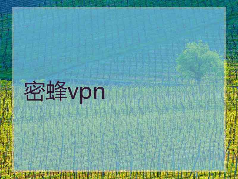 密蜂vpn