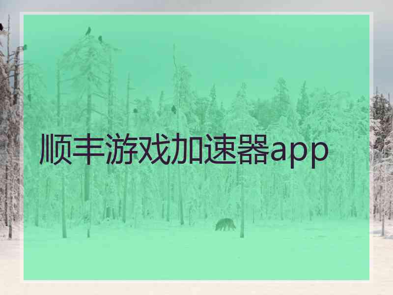 顺丰游戏加速器app