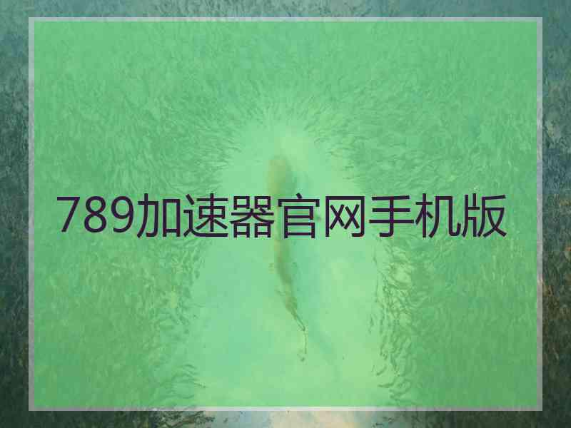 789加速器官网手机版