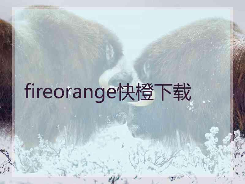 fireorange快橙下载