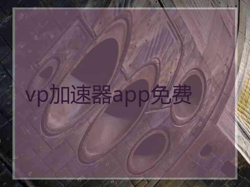 vp加速器app免费