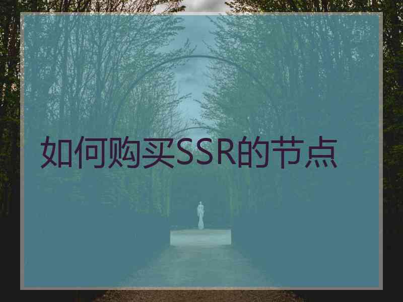 如何购买SSR的节点