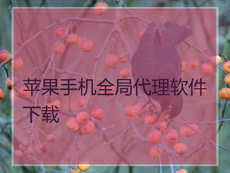 苹果手机全局代理软件下载