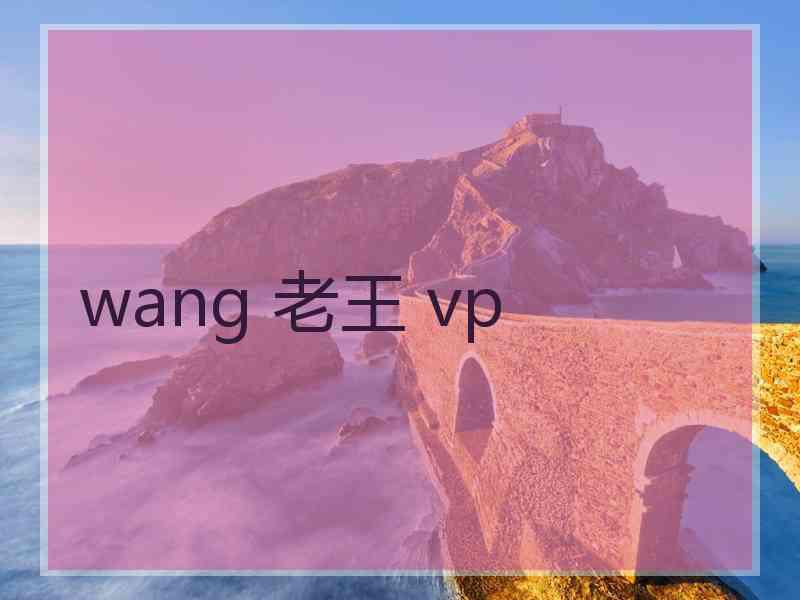 wang 老王 vp