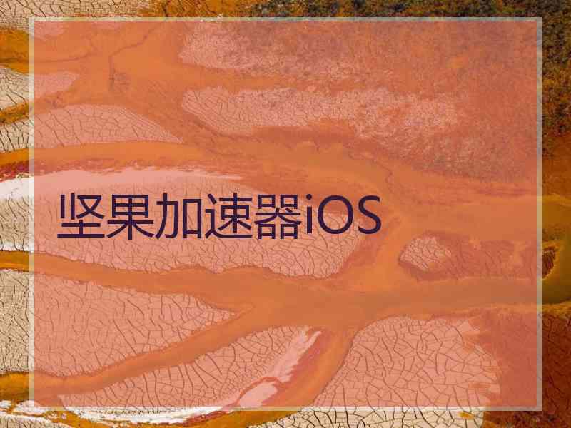 坚果加速器iOS