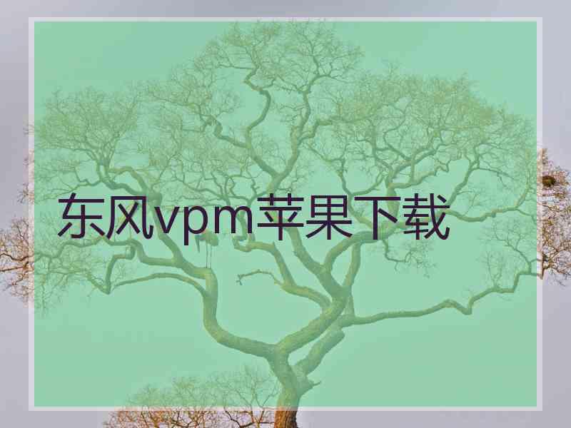 东风vpm苹果下载