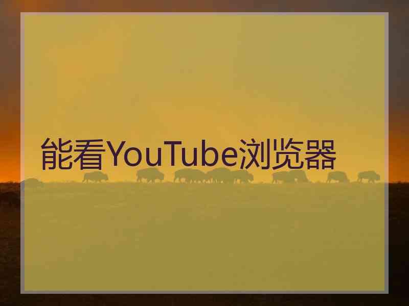 能看YouTube浏览器