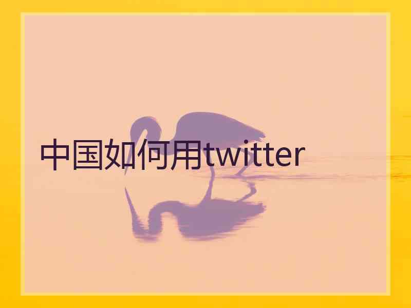 中国如何用twitter