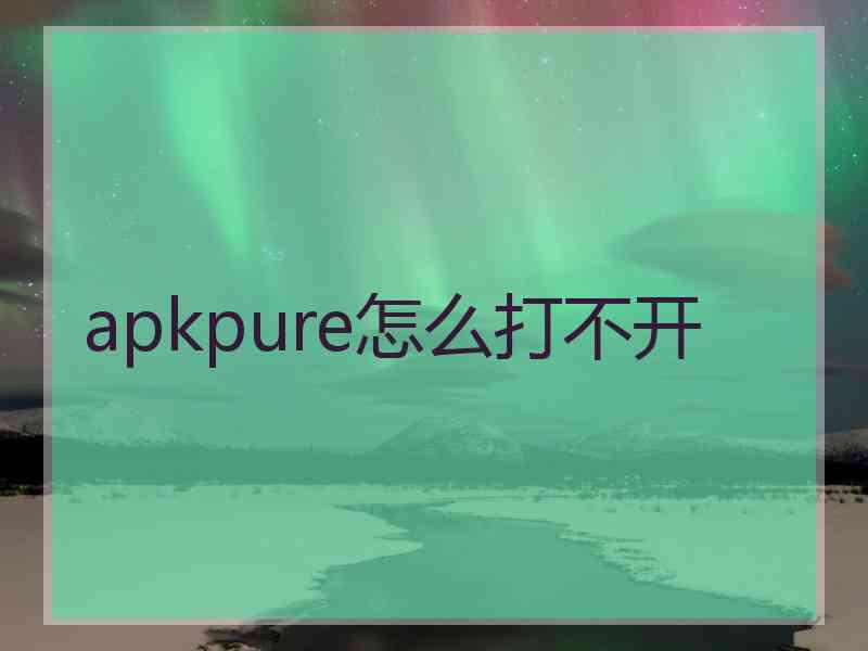 apkpure怎么打不开