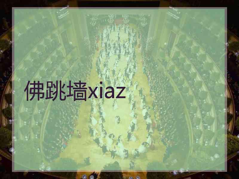 佛跳墙xiaz