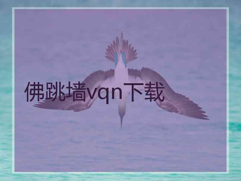 佛跳墙vqn下载