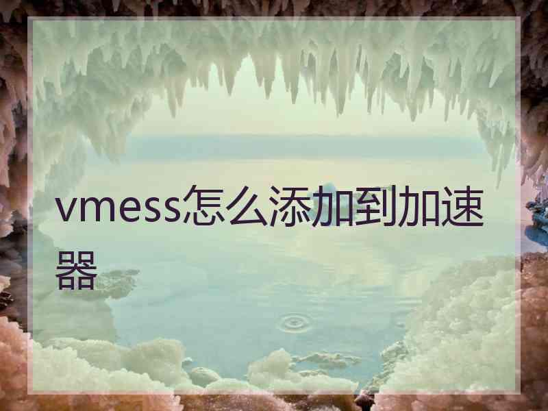 vmess怎么添加到加速器