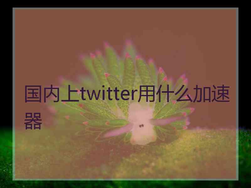 国内上twitter用什么加速器