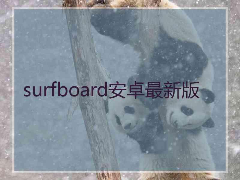 surfboard安卓最新版