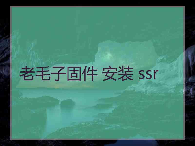 老毛子固件 安装 ssr