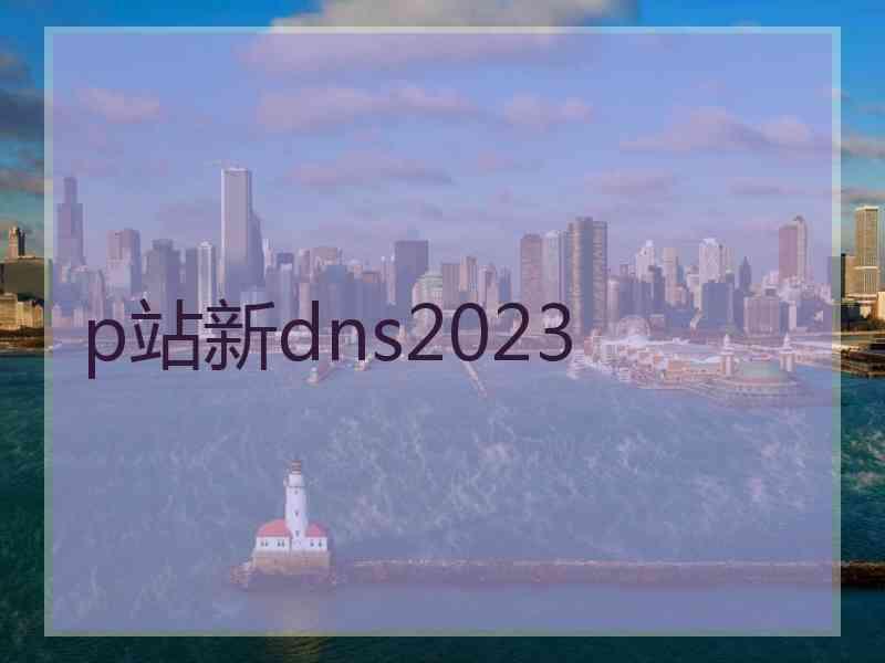 p站新dns2023