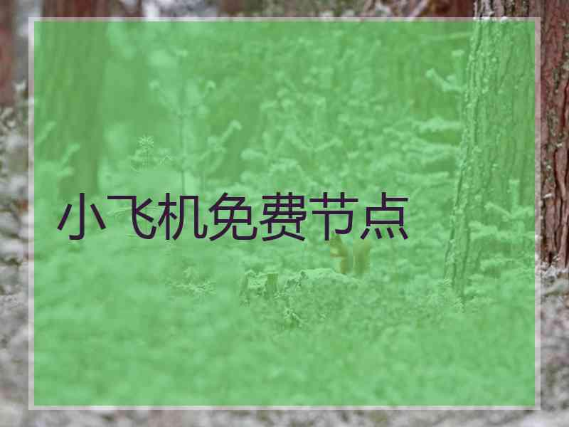 小飞机免费节点