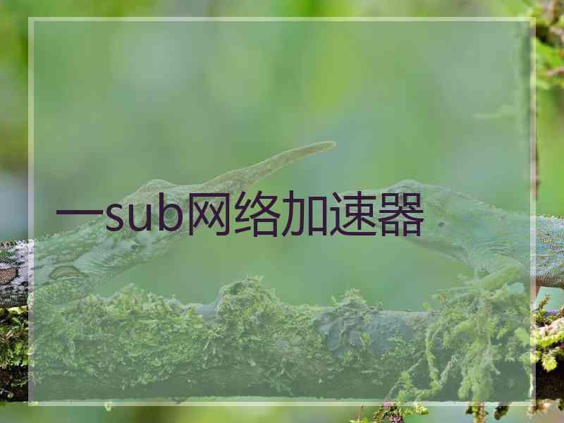 一sub网络加速器