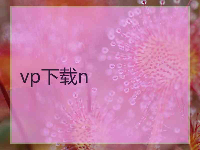 vp下载n