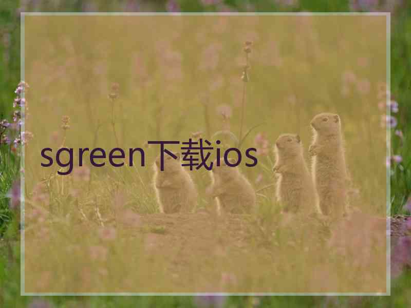 sgreen下载ios