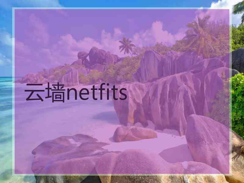 云墙netfits