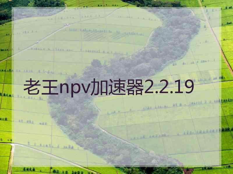 老王npv加速器2.2.19