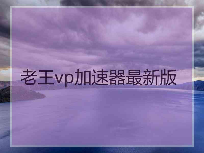 老王vp加速器最新版