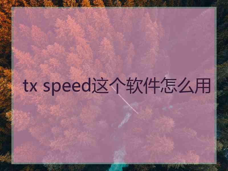 tx speed这个软件怎么用