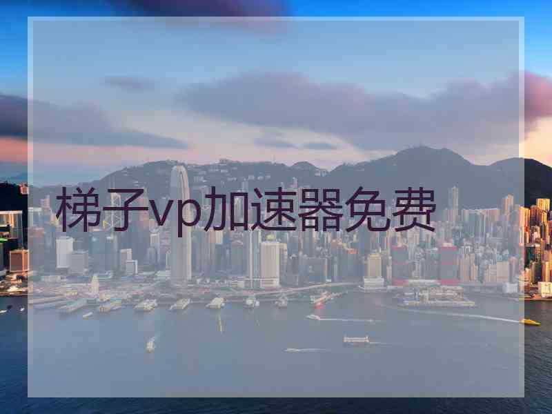 梯子vp加速器免费