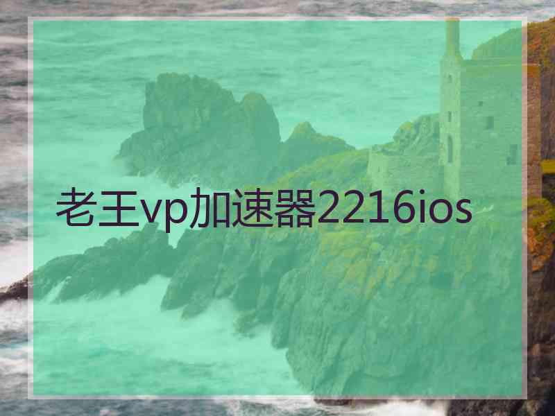 老王vp加速器2216ios