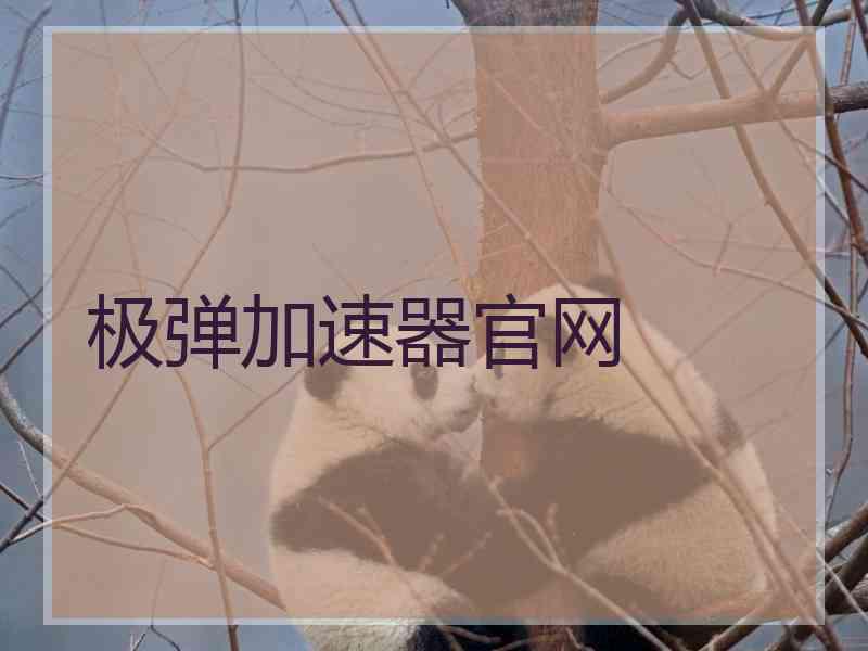 极弹加速器官网