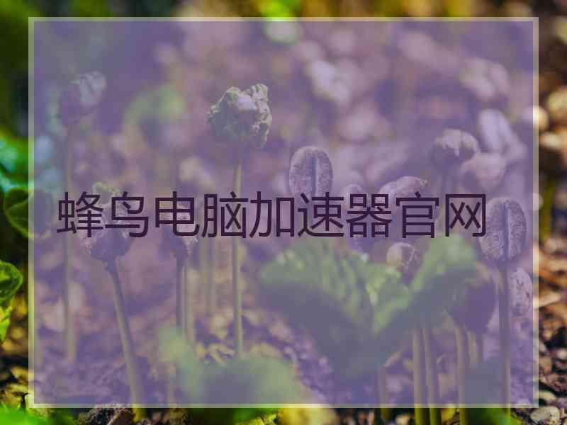 蜂鸟电脑加速器官网