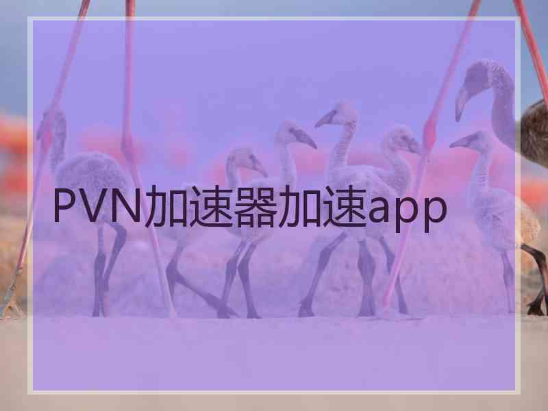 PVN加速器加速app