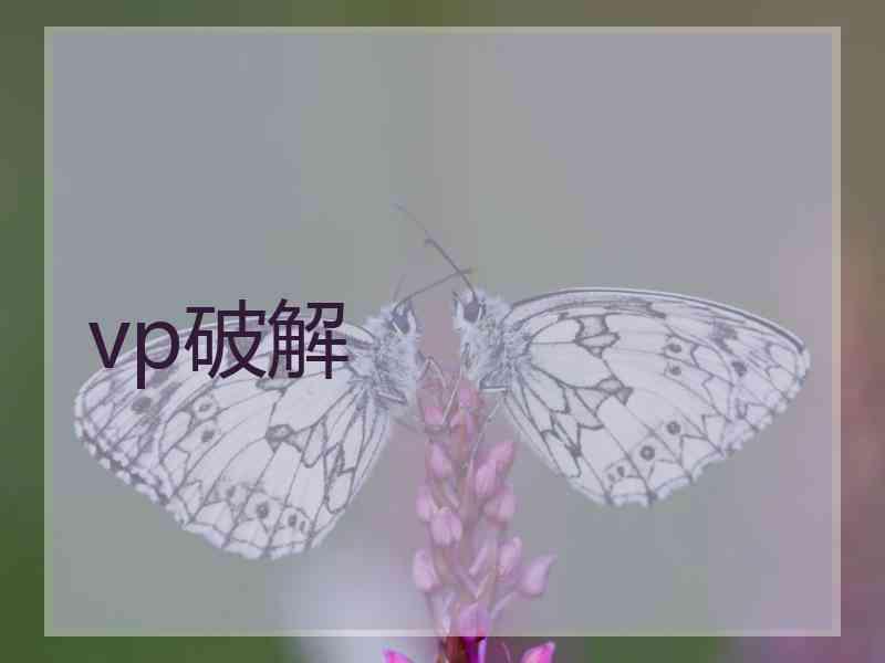 vp破解