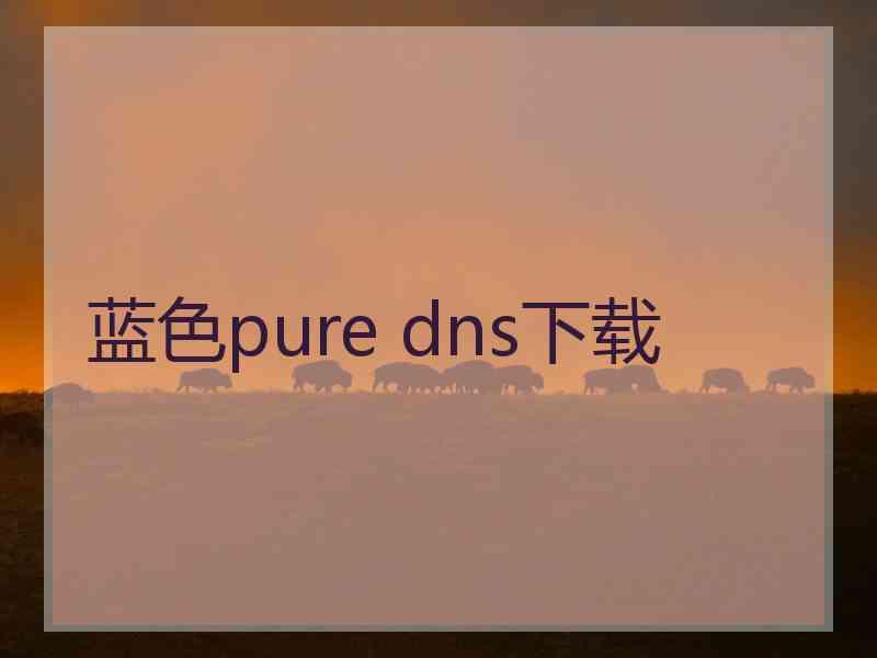 蓝色pure dns下载