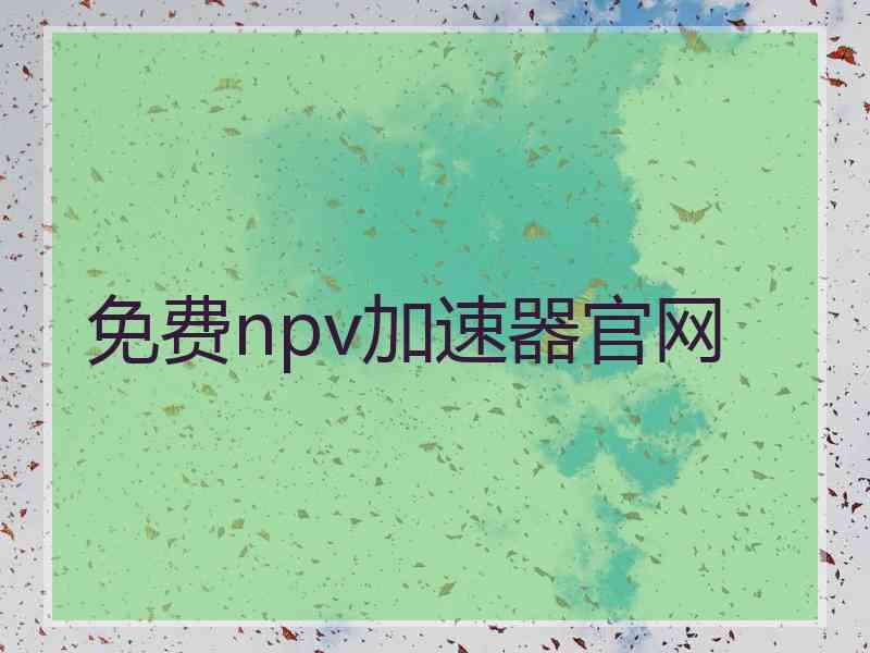 免费npv加速器官网