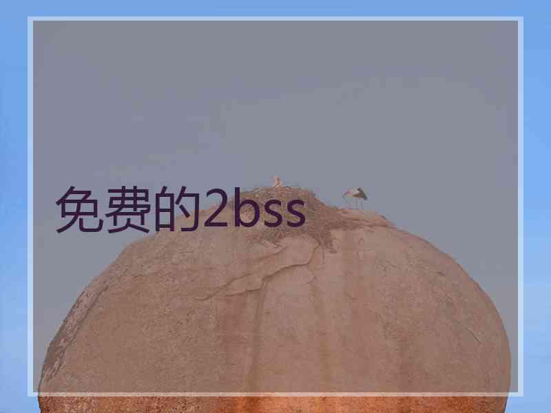 免费的2bss