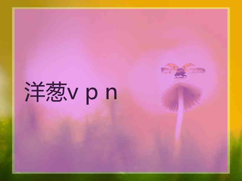 洋葱v p n