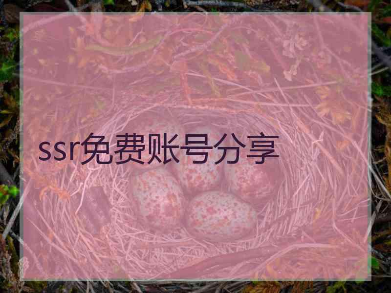 ssr免费账号分享