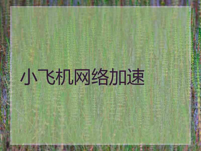 小飞机网络加速