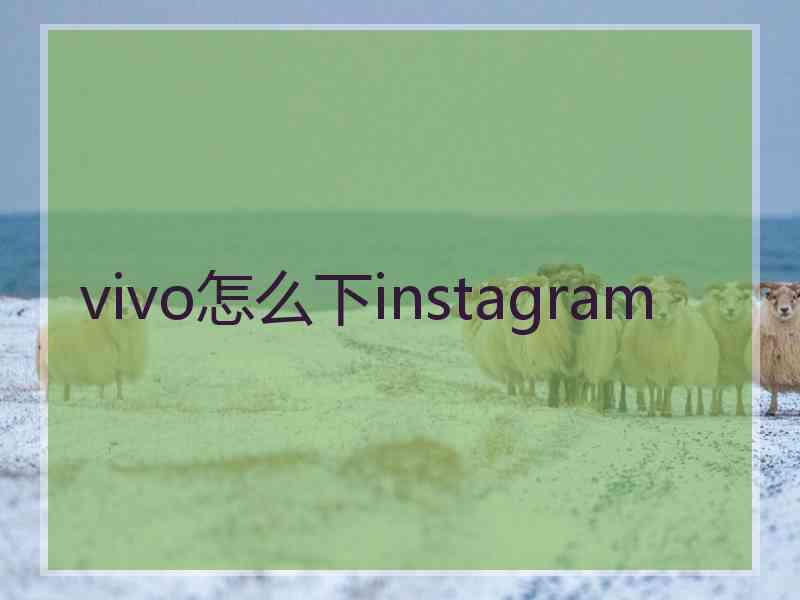 vivo怎么下instagram