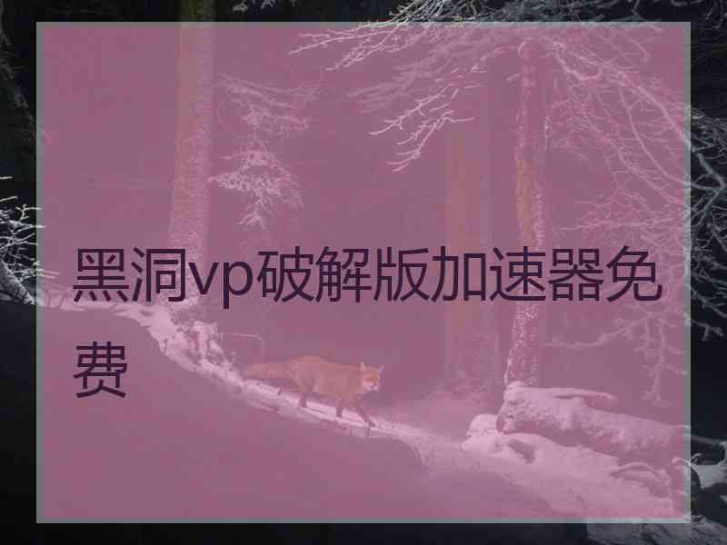 黑洞vp破解版加速器免费