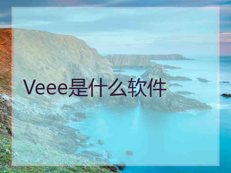 Veee是什么软件