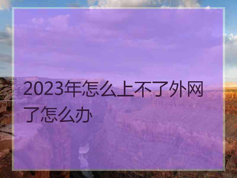 2023年怎么上不了外网了怎么办