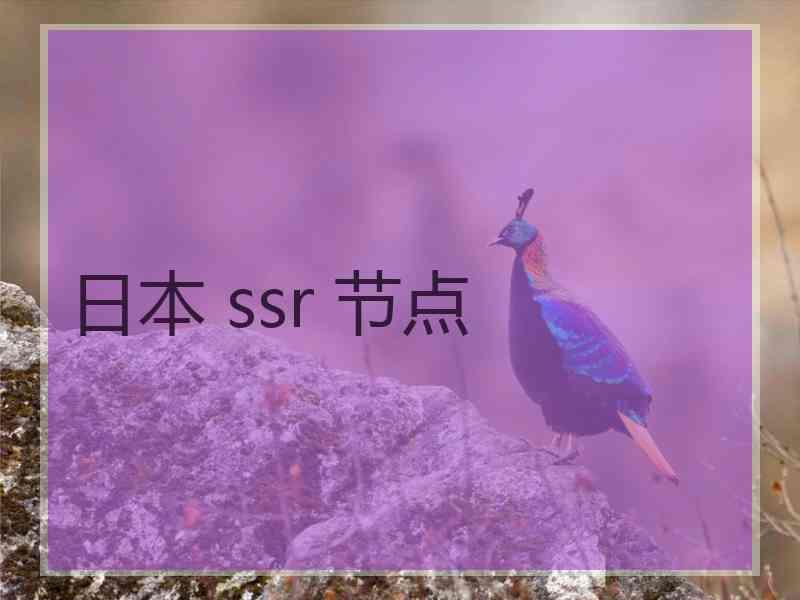 日本 ssr 节点