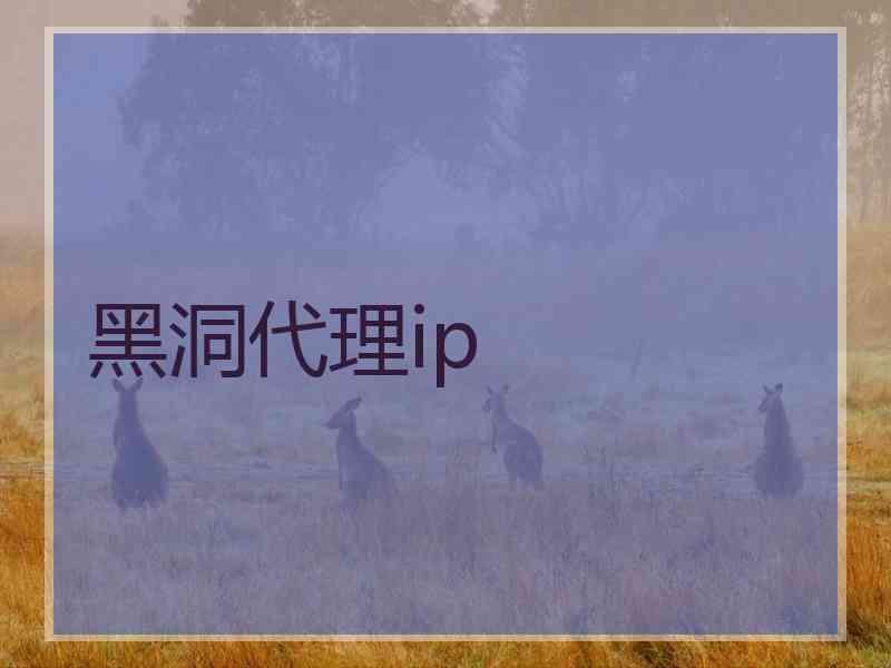 黑洞代理ip