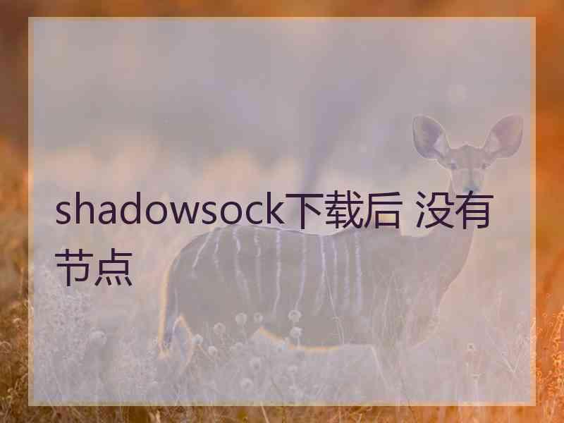 shadowsock下载后 没有节点