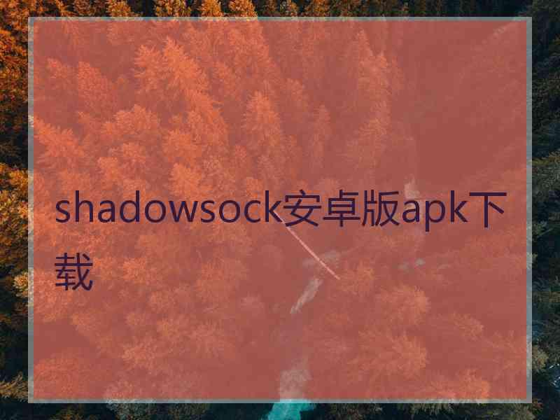 shadowsock安卓版apk下载