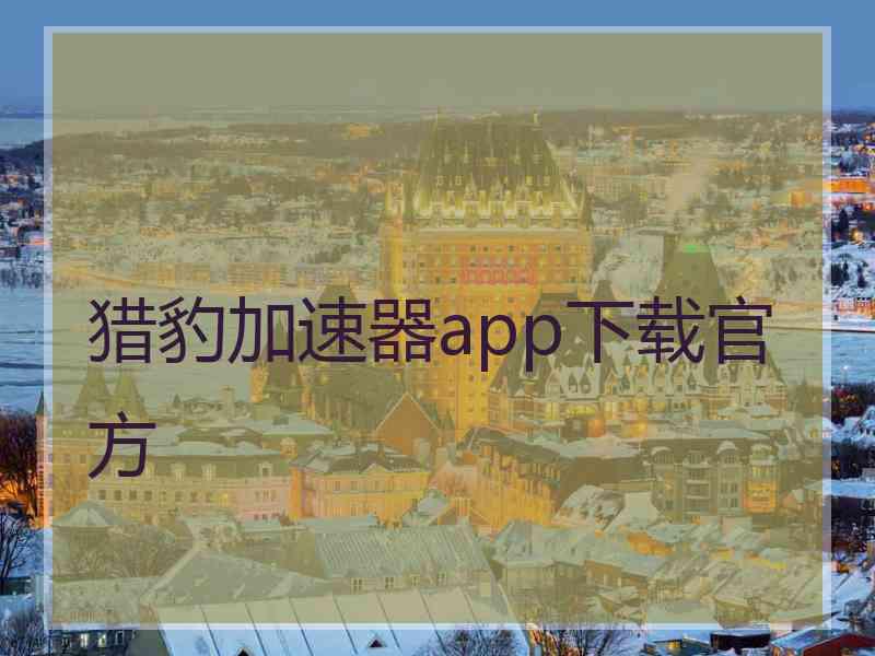 猎豹加速器app下载官方