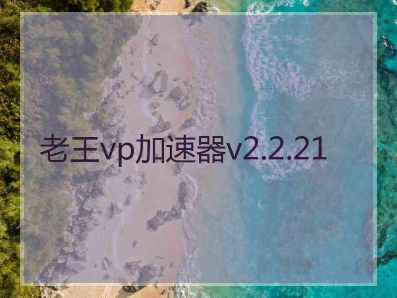 老王vp加速器v2.2.21